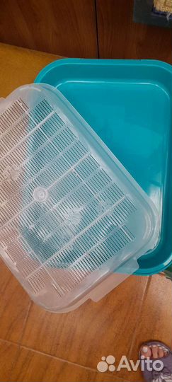 Лоток для кошек