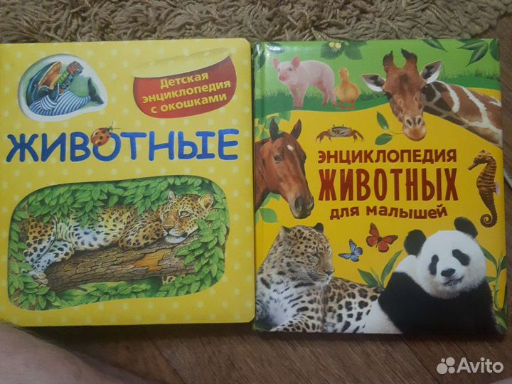 Детская энциклопедия с окошками