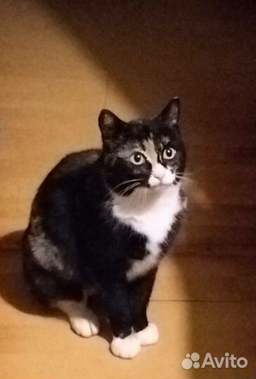 Подарите дом