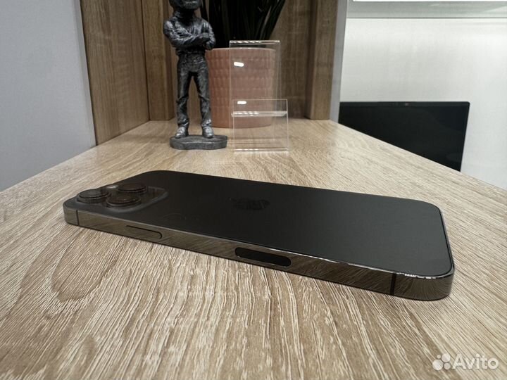 iPhone 13 Pro Max, 256 ГБ