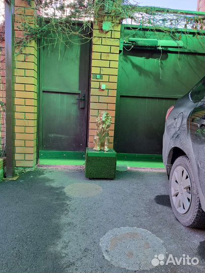 Золотой лев