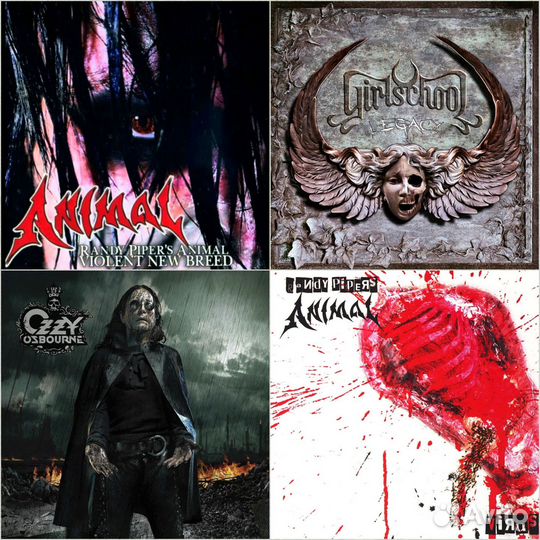 Hard Rock/Metal cd (6)