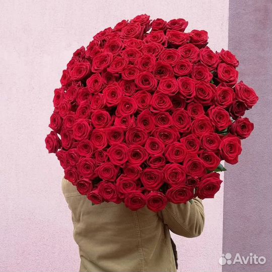 Красные Розы. Свежие Цветы