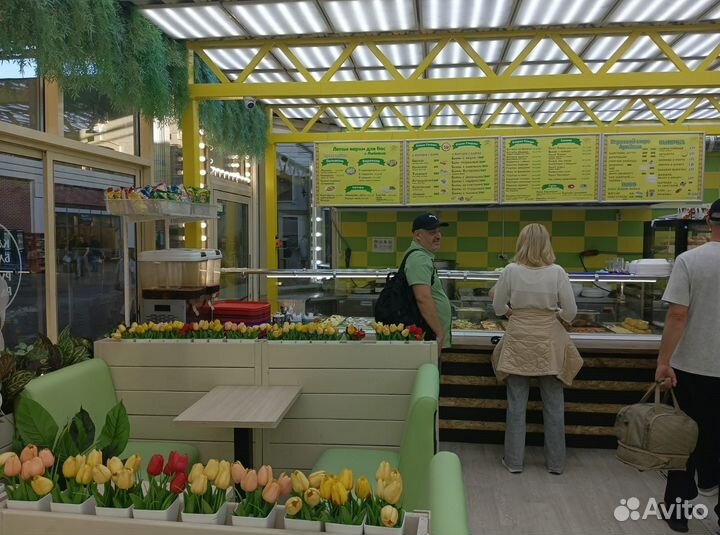 Инвестиции 72 пр./год. Сеть кафе и столовых