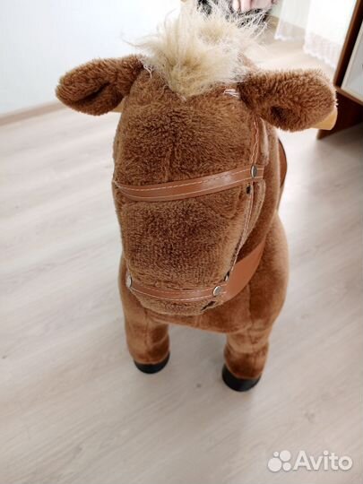 Лошадка поницикл