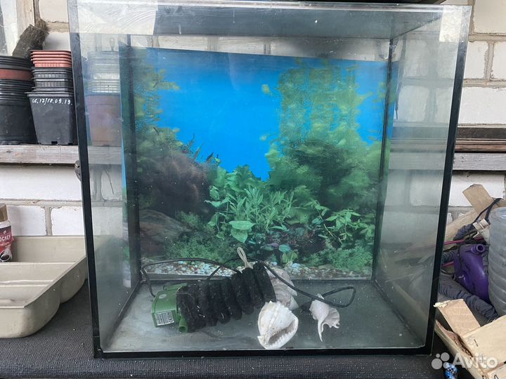 Аквариум