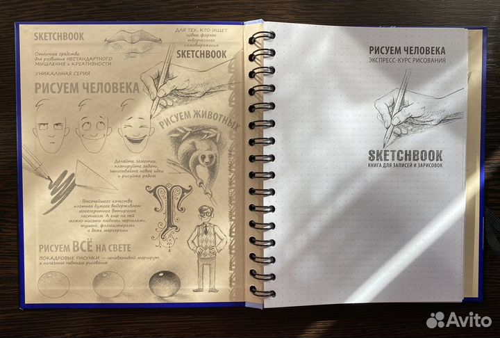 SketchBook. Рисуем человека