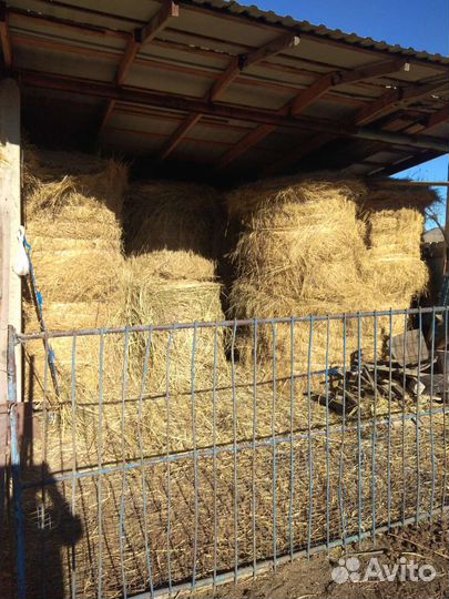 Сено в тюках