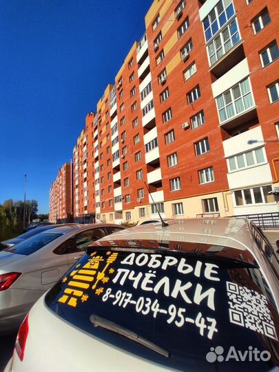 Набор мёда: липовый мед, гречишный мед, цветочный