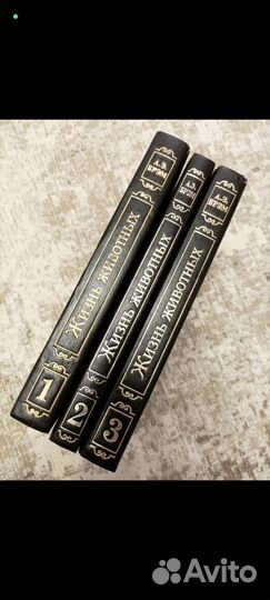 Книги. А.Брэм 