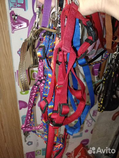 Миски, шлейки, обувь, переноски