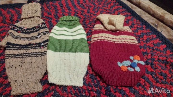 Одежда для животных