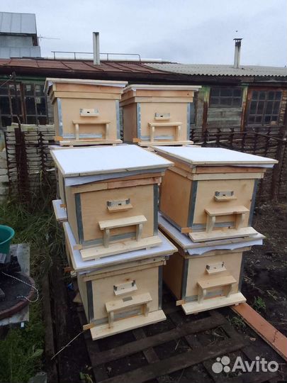 Улья новые