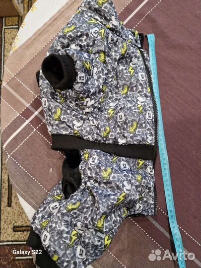 Одежда для средних собак