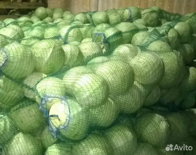 Капуста свежая оптом Омск