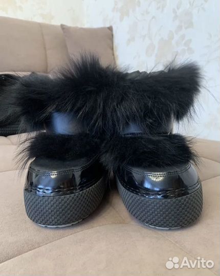 Луноходы abricot