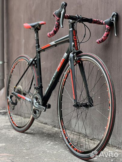 Шоссейный Silverback Stride (Германия)