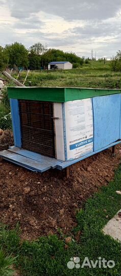 Цыплятник утятник