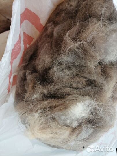 Сою. Шерсть