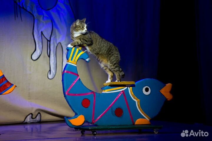 Билеты в театр кошек Куклачева