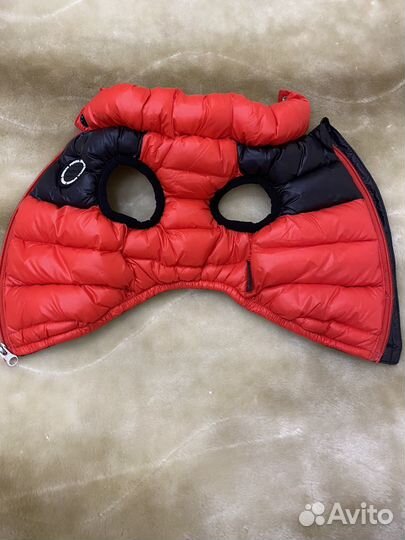 Одежда для собак мелких пород