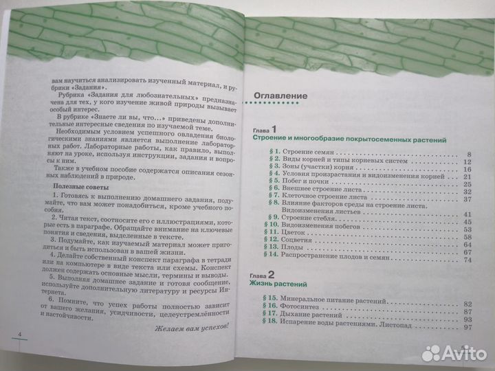 Учебник по биологии 6 класс В.В.Пасечник