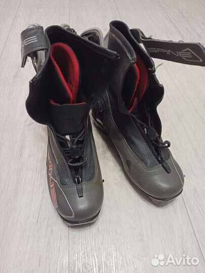 Лыжные ботинки spine polaris