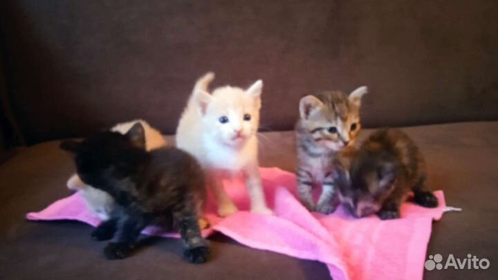 Помогите съехать от мамы