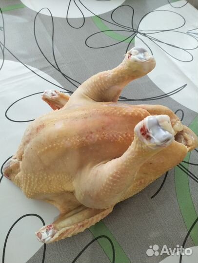 Мясо бройлера