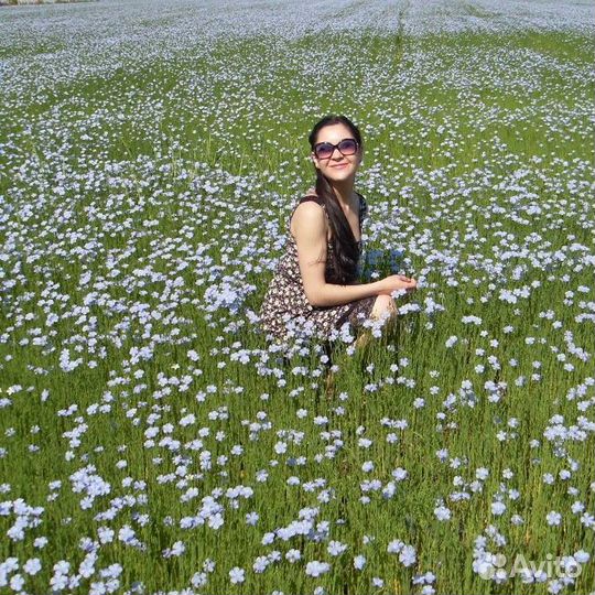 Оператор 1С, Офис- Менеджер