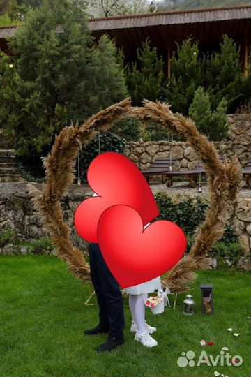 Тростник, камыш для декора фотозоны, интерьера