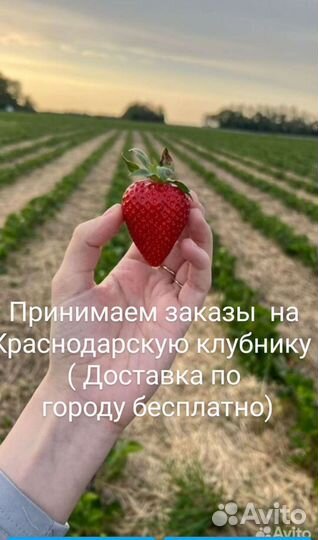 Клубника свежая