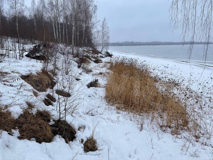 Участок 1,5 га (СНТ, ДНП)