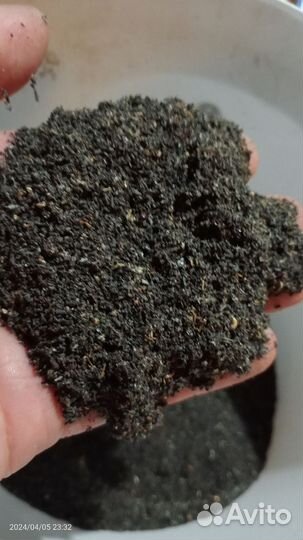 Пжвм-поживёМ