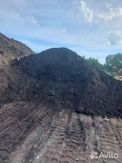 Торф низинный