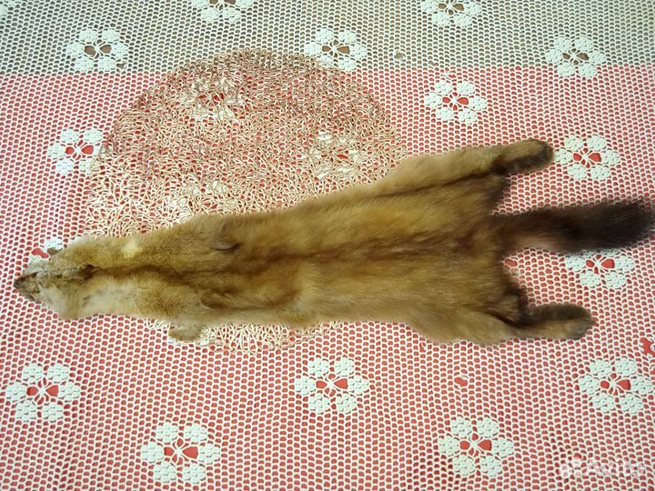 Шкурки куницы