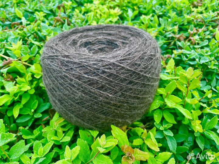 Пряжа из собачьей шерсти