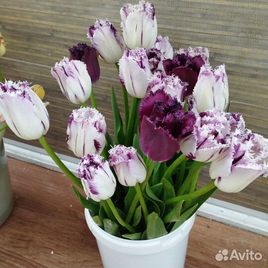 Тюльпаны букет