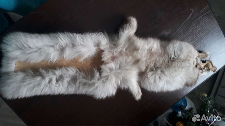 Шкурка песца