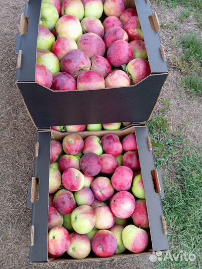 Коробка для хранения