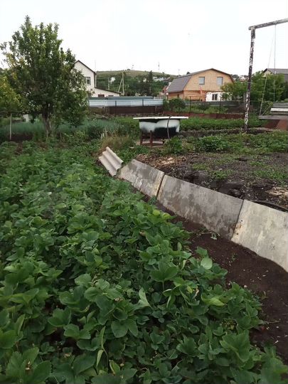 Участок 7 сот. (ИЖС)