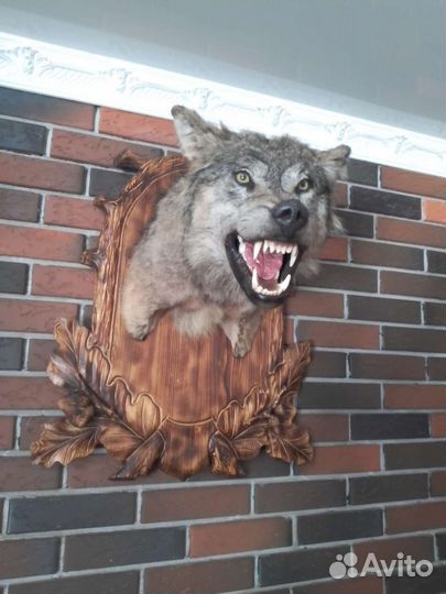 Медальон охотничий,дерево,для трофеев