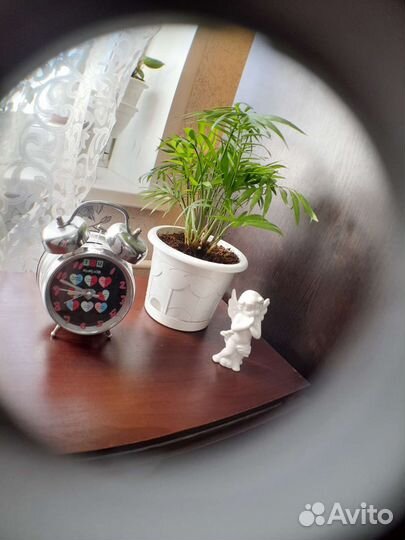 Линзы для телефона