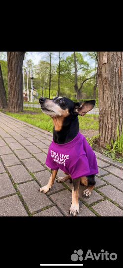 Майка для собак
