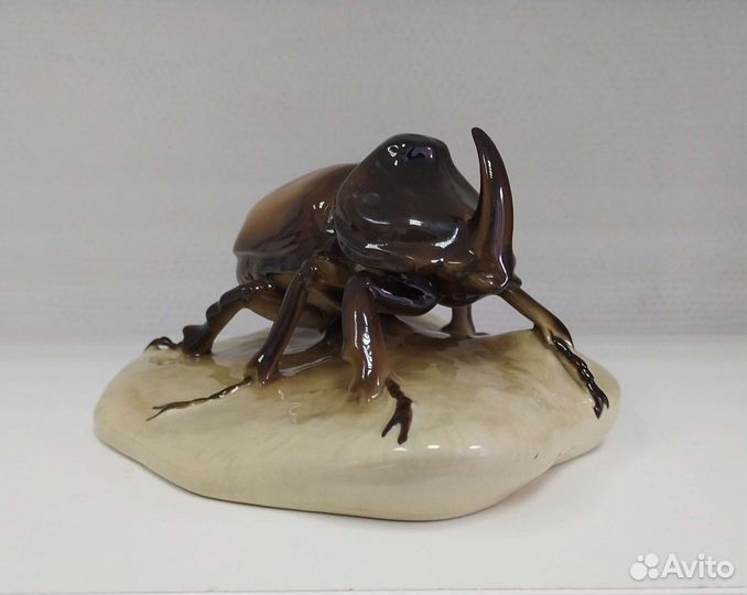 Жук носорог. Royal dux