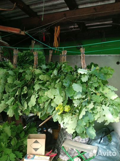 Дубовые, березовые веники для бани