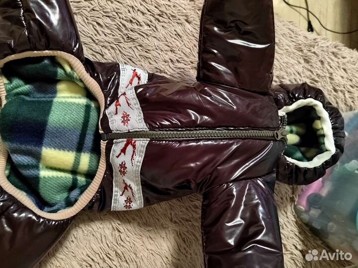 Комбинезон для маленькой собаки