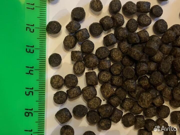 Корм для форели и осетра