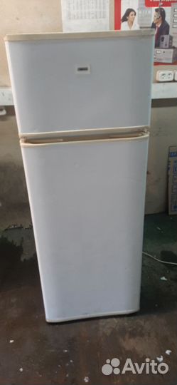 Холодильник Зануси Доставка