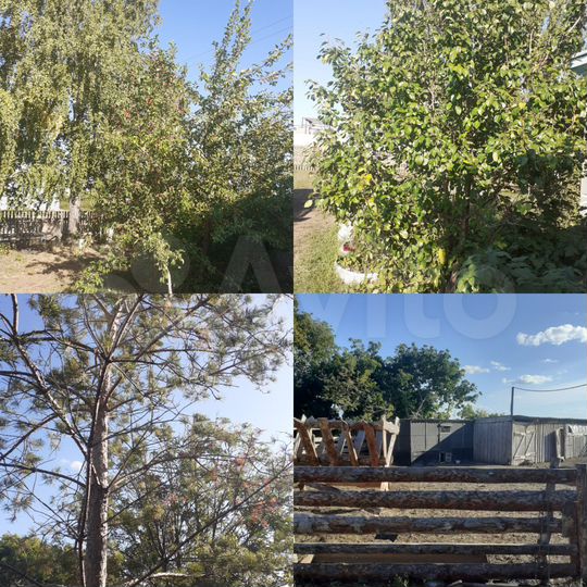 Дом 88 м² на участке 36,8 сот.